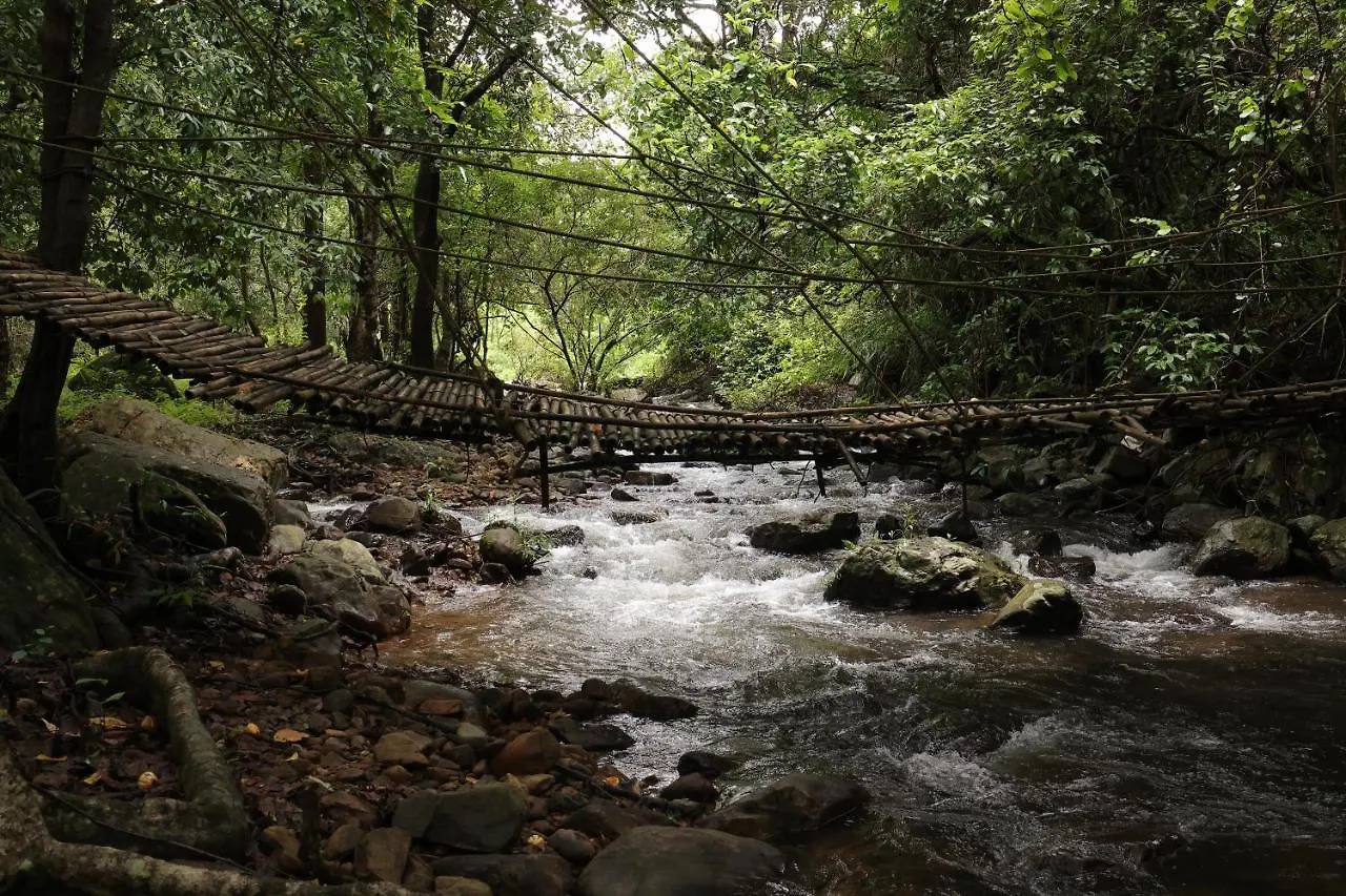 Jungle View Resort Mananthavady