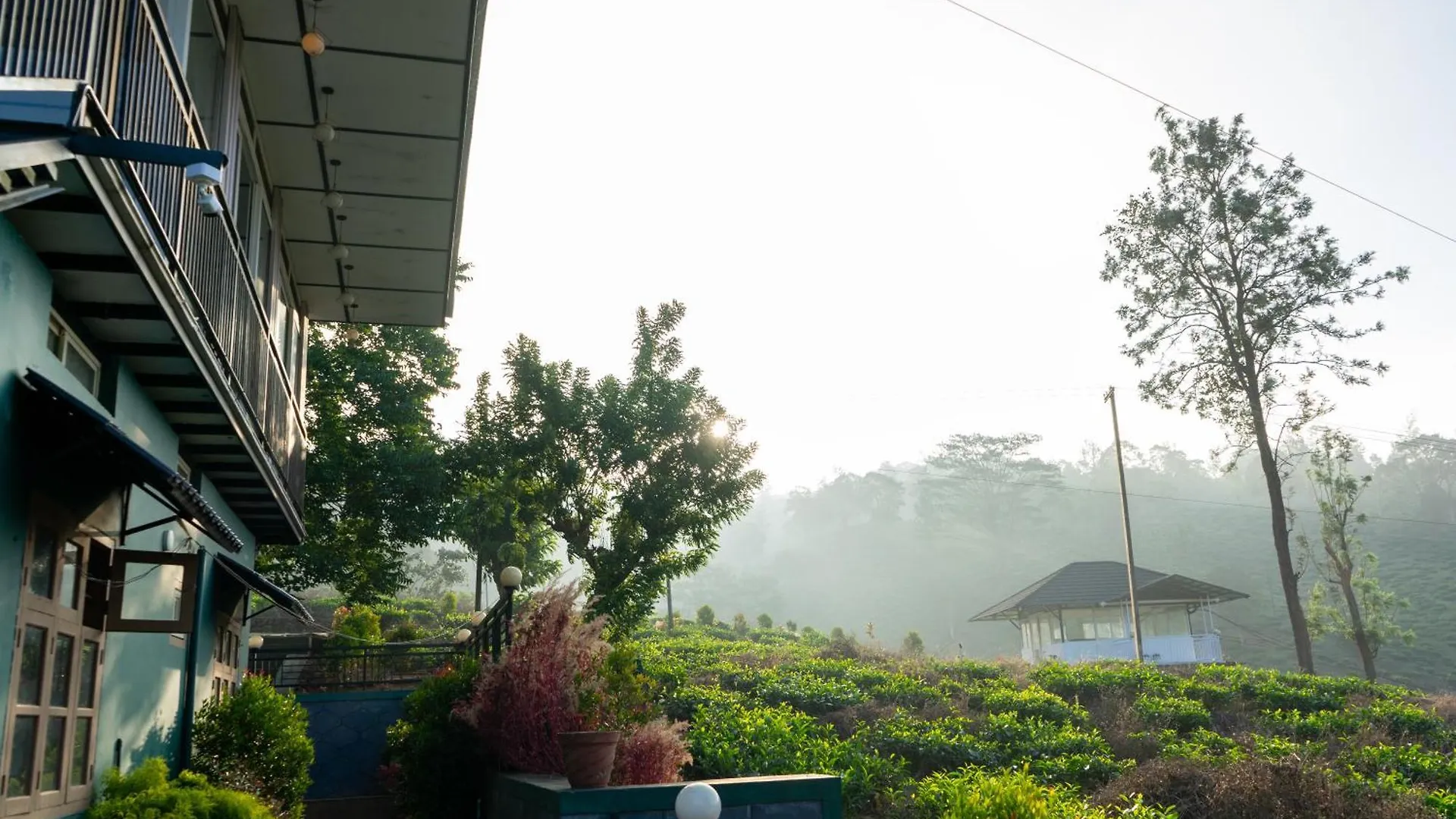 Jungle View Resort Mananthavady