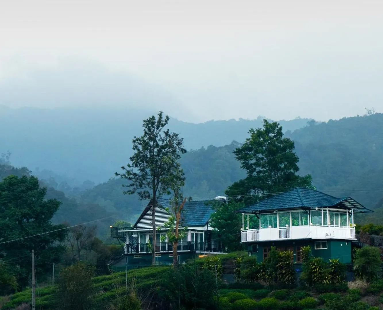 Jungle View Resort Mananthavady